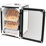 126-egg-chicken-device.jpg