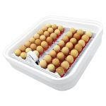 Easy-Bator-1-Automatic-Incubator-.jpg