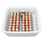Easy-Bator-2-Automatic-Incubator-.jpg