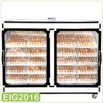 eig2016-2.jpg