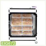 eig672-2.jpg