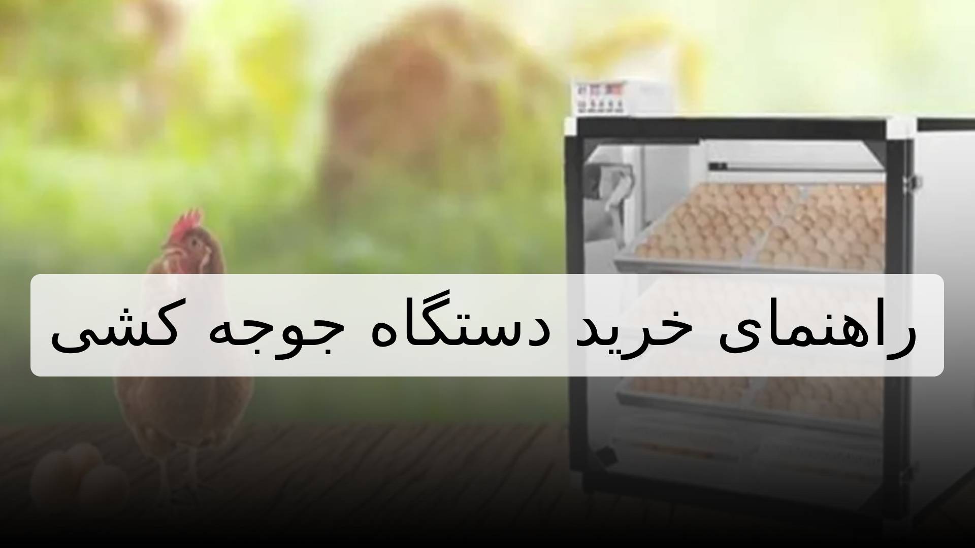 راهنمای خرید دستگاه جوجه کشی