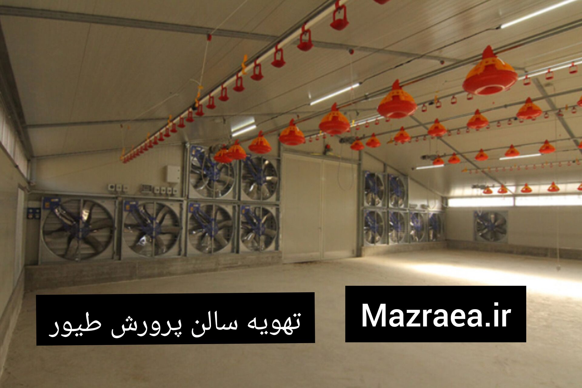 تهویه سالن پرورش سالن