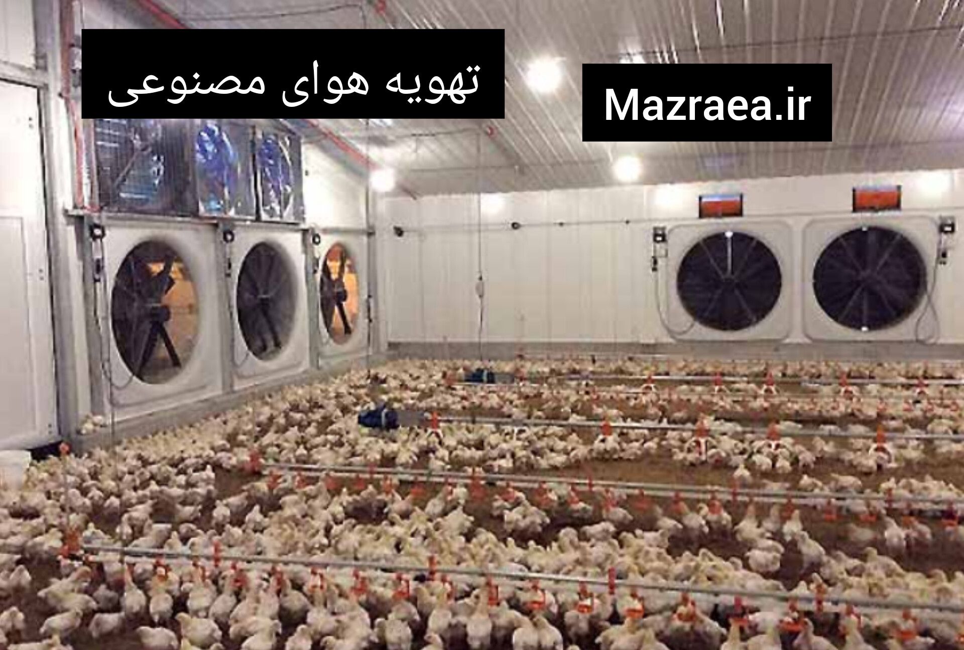 تهویه هوای مصنوعی