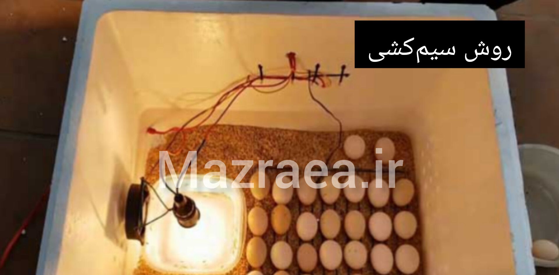 نحوه اتصال فن