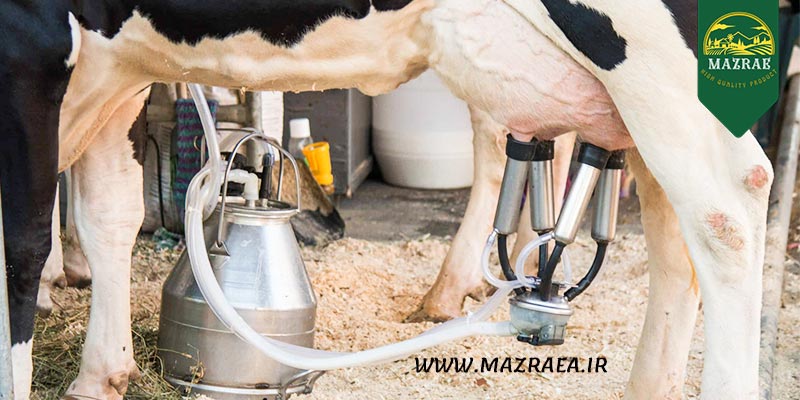 اهمیت رعایت نکات بهداشتی در هنگام استفاده از دستگاه شیردوش 