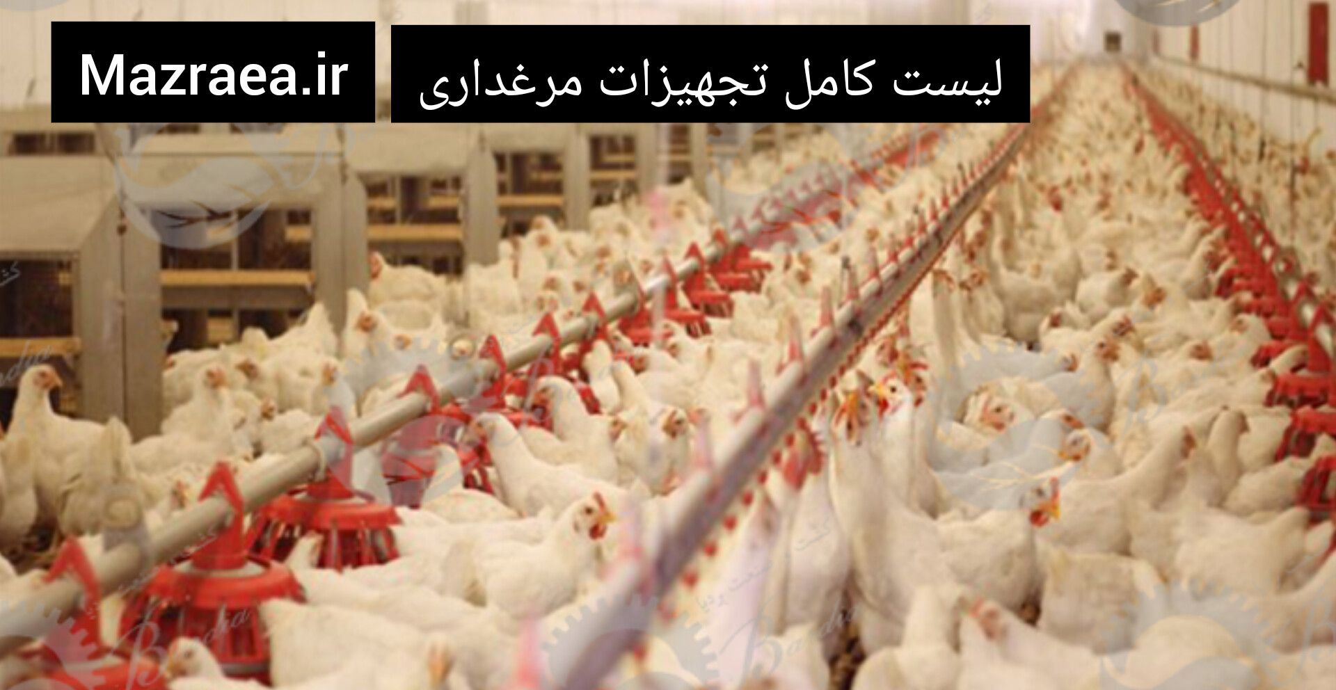 تیست کامل تجهیزات مرغداری